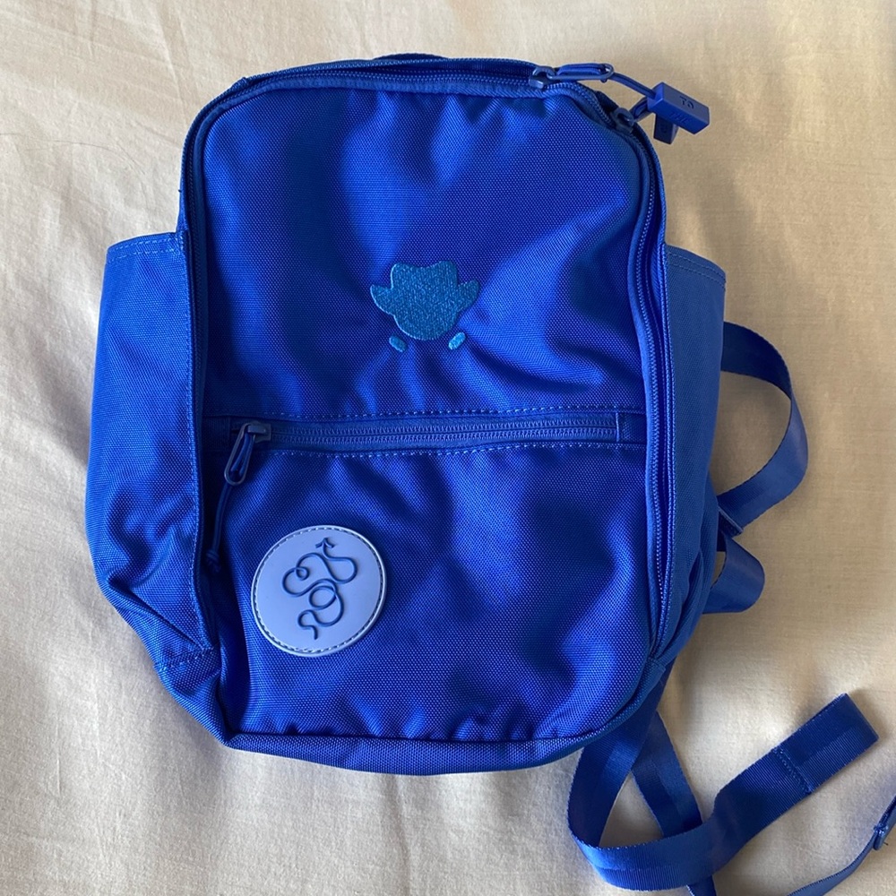 Baboon to the Moon + Duolingo Insulated Backpack